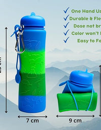 Motivational Water Bottle - Foldable Dinosaur Engraved Earth
