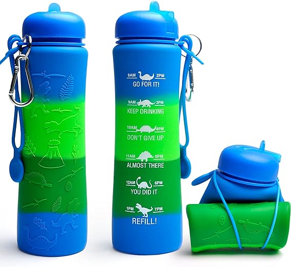 Motivational Water Bottle - Foldable Dinosaur Engraved Earth